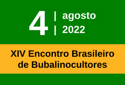 Búfalo