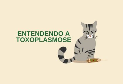 TOXOPLASMOSE