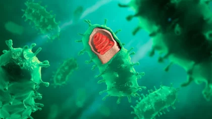 20240205_virus_raiva_cerebrohumano