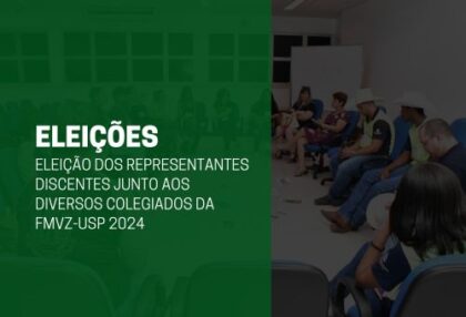 Prototipo Vinheta (2)