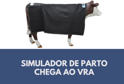 SIMULADOR VRA
