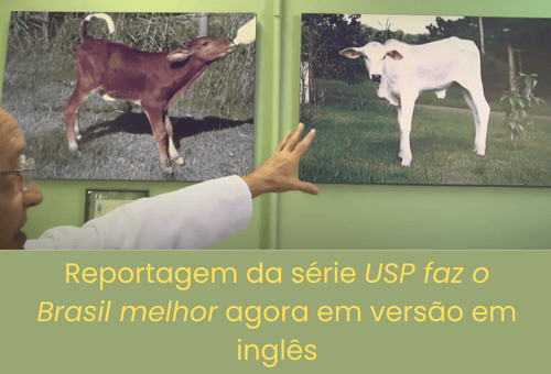 Reportagem da série USP faz melhor agora em versão em inglês (500 x 340 px)