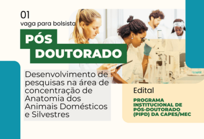 pos doutorado (500 x 340 px)