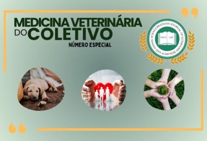 Especial (500 x 340 px)