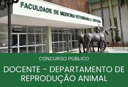 CONCURSO PÚBLICO_DOCENTE_VRA