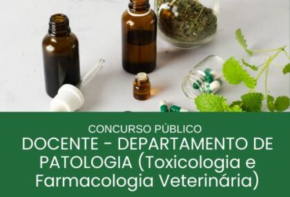 CONCURSO PÚBLICO_DOCENTE_VPT