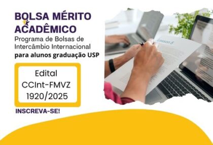bolsa_merito_academico