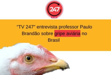 gripe aviaria (2)